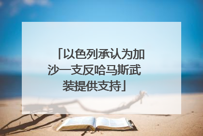 以色列承认为加沙一支反哈马斯武装提供支持