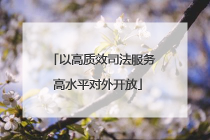 以高质效司法服务高水平对外开放