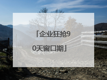 企业狂抢90天窗口期