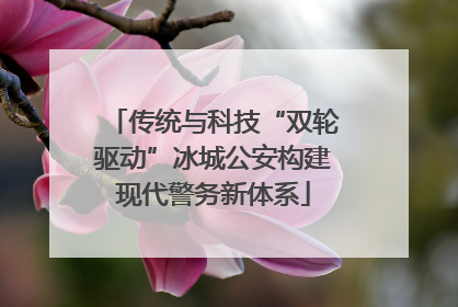 传统与科技“双轮驱动”冰城公安构建现代警务新体系