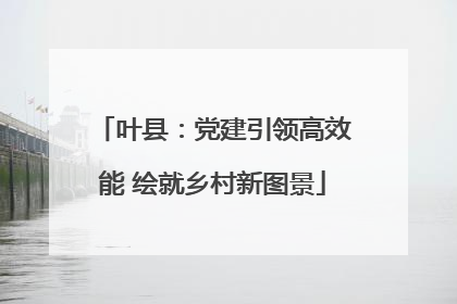 叶县：党建引领高效能 绘就乡村新图景