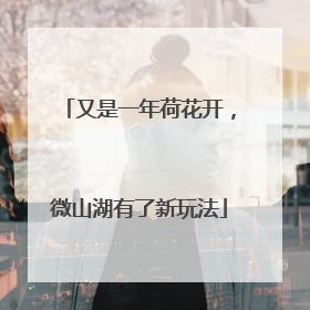 又是一年荷花开，微山湖有了新玩法