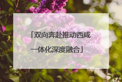 双向奔赴推动西咸一体化深度融合