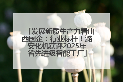 发展新质生产力看山西国企：行业标杆！潞安化机获评2025年省先进级智能工厂