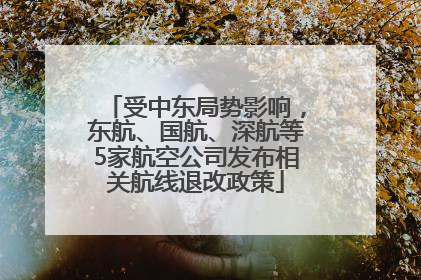 受中东局势影响，东航、国航、深航等5家航空公司发布相关航线退改政策