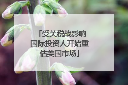 受关税战影响 国际投资人开始重估美国市场