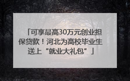 可享最高30万元创业担保贷款！河北为高校毕业生送上“就业大礼包”
