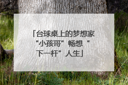 台球桌上的梦想家 “小孩哥”畅想“下一杆”人生