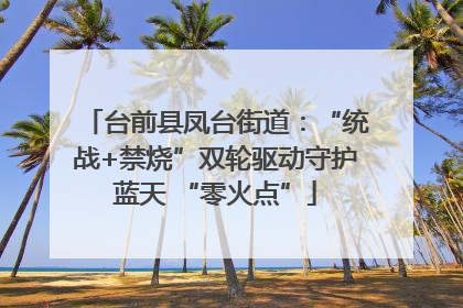 台前县凤台街道：“统战+禁烧”双轮驱动守护蓝天 “零火点”