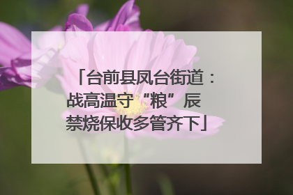 台前县凤台街道：战高温守“粮”辰 禁烧保收多管齐下