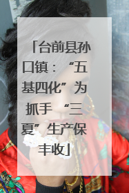 台前县孙口镇：“五基四化”为抓手 “三夏”生产保丰收