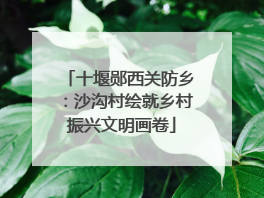 十堰郧西关防乡：沙沟村绘就乡村振兴文明画卷