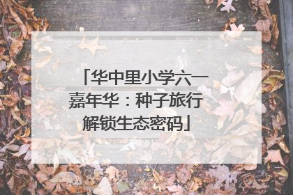 华中里小学六一嘉年华：种子旅行解锁生态密码