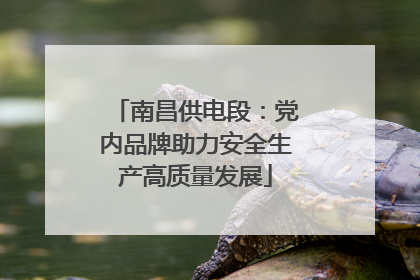 南昌供电段：党内品牌助力安全生产高质量发展