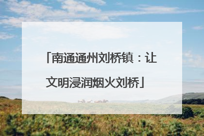 南通通州刘桥镇：让文明浸润烟火刘桥