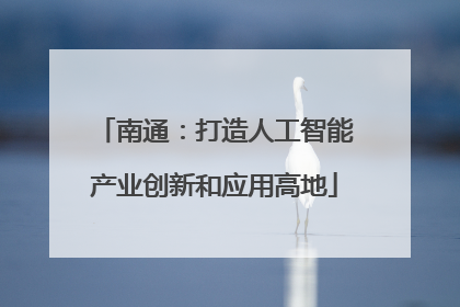 南通：打造人工智能产业创新和应用高地