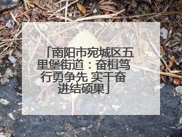 南阳市宛城区五里堡街道：奋楫笃行勇争先 实干奋进结硕果