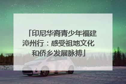 印尼华裔青少年福建漳州行：感受祖地文化和侨乡发展脉搏
