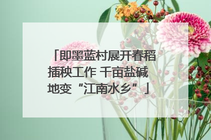 即墨蓝村展开春稻插秧工作 千亩盐碱地变“江南水乡”