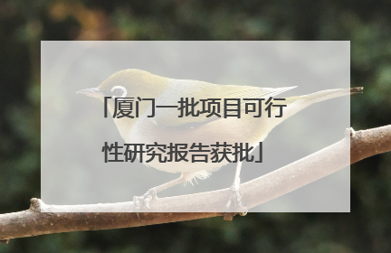 厦门一批项目可行性研究报告获批
