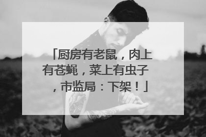 厨房有老鼠，肉上有苍蝇，菜上有虫子，市监局：下架！