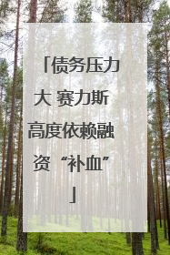 债务压力大 赛力斯高度依赖融资“补血”