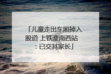 儿童走出车厢掉入股道 上铁淮南西站：已交其家长