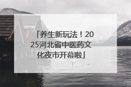 养生新玩法！2025河北省中医药文化夜市开幕啦