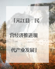 元江县：民营经济推进现代产业发展