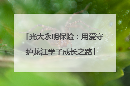 光大永明保险：用爱守护龙江学子成长之路
