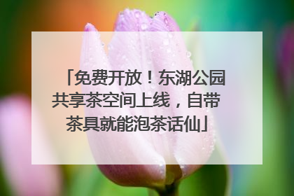免费开放！东湖公园共享茶空间上线，自带茶具就能泡茶话仙