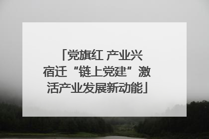 党旗红 产业兴 宿迁“链上党建”激活产业发展新动能