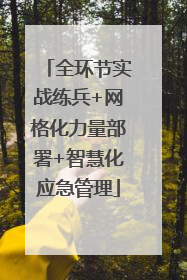 全环节实战练兵+网格化力量部署+智慧化应急管理