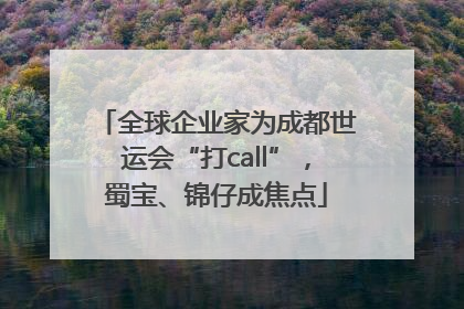 全球企业家为成都世运会“打call”，蜀宝、锦仔成焦点