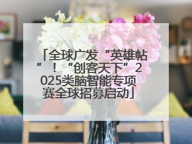 全球广发“英雄帖”！“创客天下”2025类脑智能专项赛全球招募启动