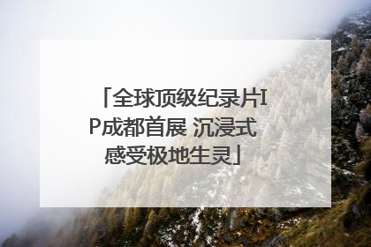 全球顶级纪录片IP成都首展 沉浸式感受极地生灵