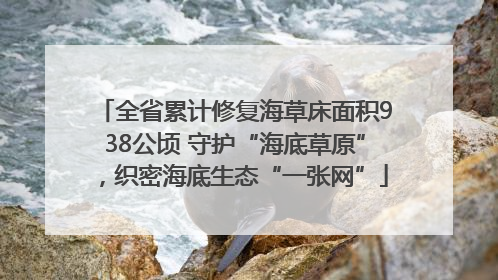 全省累计修复海草床面积938公顷 守护“海底草原”，织密海底生态“一张网”
