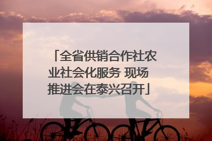 全省供销合作社农业社会化服务 现场推进会在泰兴召开