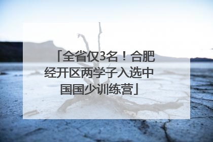 全省仅3名！合肥经开区两学子入选中国国少训练营