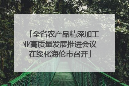 全省农产品精深加工业高质量发展推进会议在绥化海伦市召开