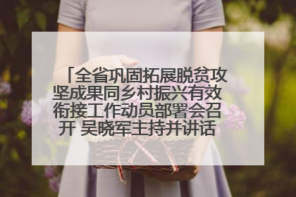 全省巩固拓展脱贫攻坚成果同乡村振兴有效衔接工作动员部署会召开 吴晓军主持并讲话 罗东川作安排部署
