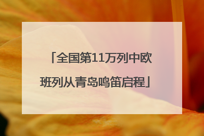 全国第11万列中欧班列从青岛鸣笛启程