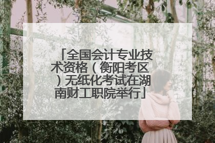 全国会计专业技术资格（衡阳考区）无纸化考试在湖南财工职院举行