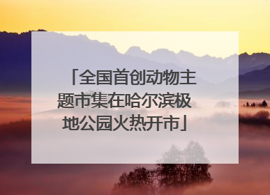 全国首创动物主题市集在哈尔滨极地公园火热开市