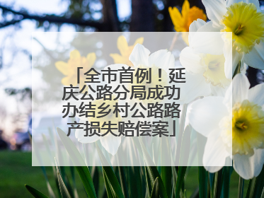 全市首例！延庆公路分局成功办结乡村公路路产损失赔偿案