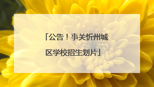 公告！事关忻州城区学校招生划片