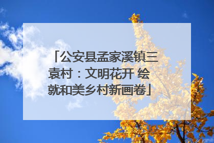 公安县孟家溪镇三袁村：文明花开 绘就和美乡村新画卷