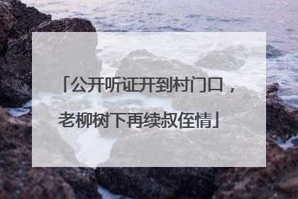 公开听证开到村门口，老柳树下再续叔侄情