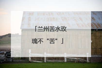 兰州苦水玫瑰不“苦”
