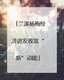 兰溪杨梅经济迸发致富“新”动能